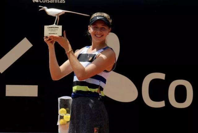 威尔士队在 威尔士队在