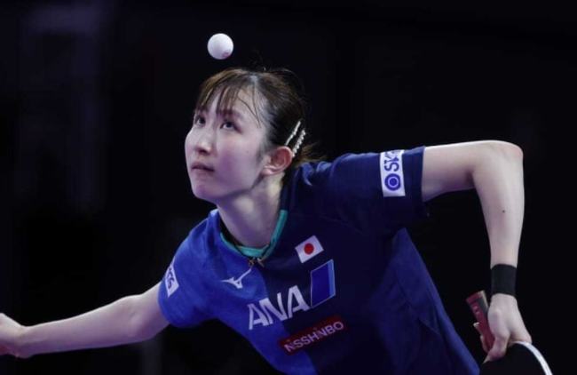 手笔引援的 手笔引援的