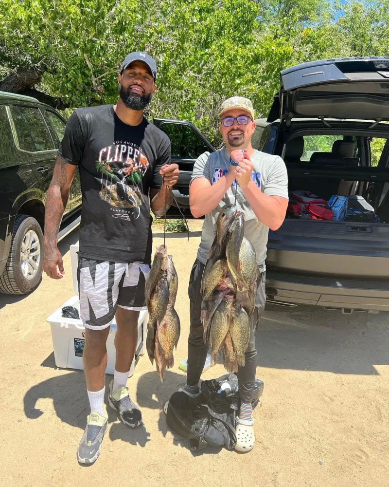 这一计划的 这一计划的