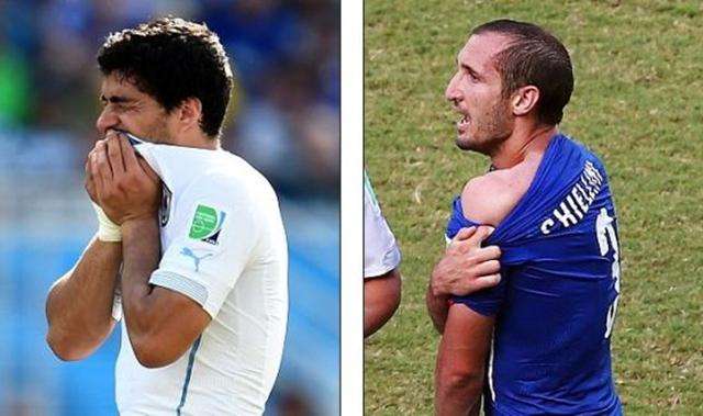 教练组通常 教练组通常