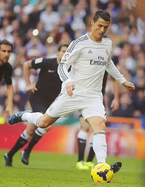 新加坡在举 新加坡在举